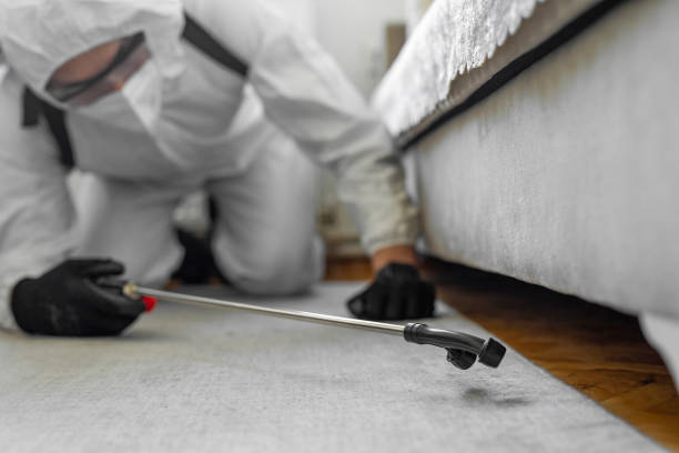 Professional Ant Control technician working in Landmark, AR