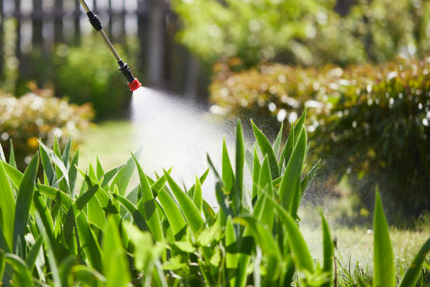 24/7 Emergency Ant Control experts in Landmark, AR