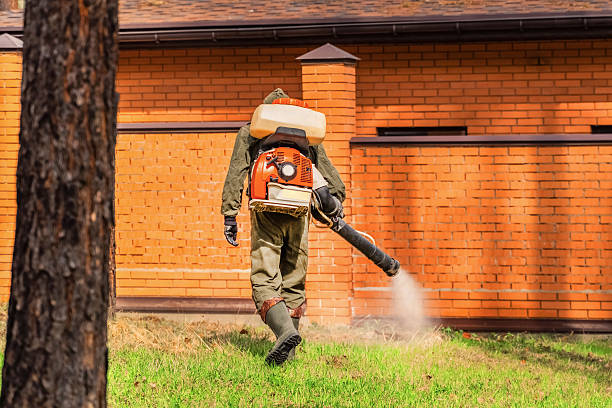 Trusted Ant Control service in Landmark, AR - Nex Pest Control